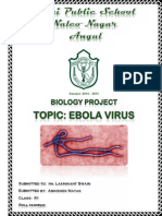 Реферат: Dna Fingerprinting Essay Research Paper DNA FingerprintingDNA